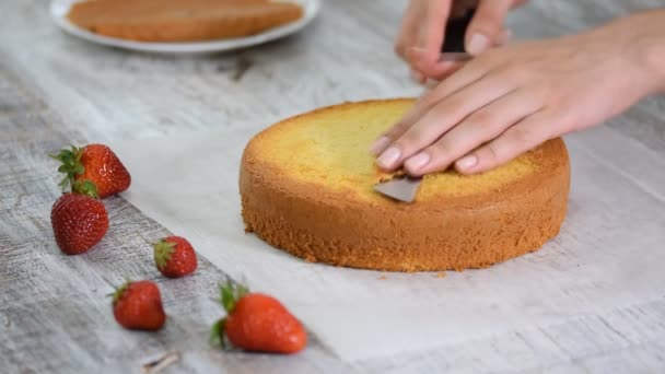 Pastry chef cutting the sponge cake. Cake production process. — Stock Video