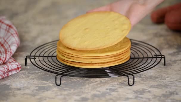 Frisch gebackene runde Mürbeteigschichten für hausgemachten Kuchen auf Kühlgestell. — Stockvideo