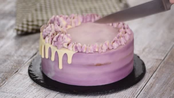 Torta de arándanos casera de corte manual femenino con un cuchillo . — Vídeos de Stock