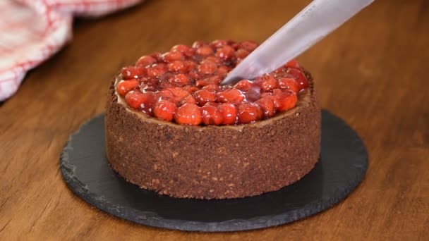Mãos femininas cortando cheesecake de chocolate com uma faca. Sobremesa doce caseira . — Vídeo de Stock