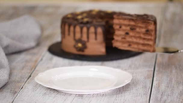 Pedaço de bolo de chocolate camada com ameixas e rum . — Vídeo de Stock