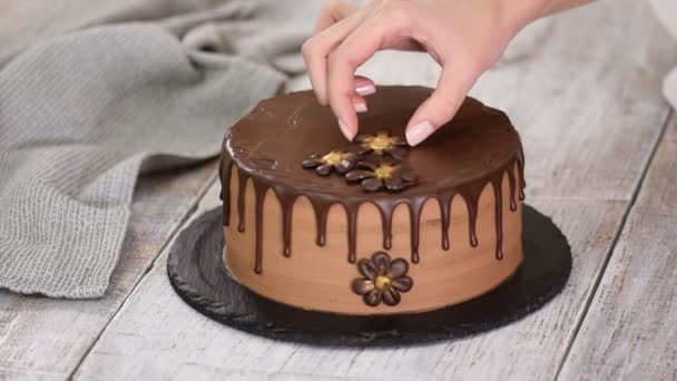 Cofetar-brutar decora frumos tort crema cu flori de ciocolata . — Videoclip de stoc