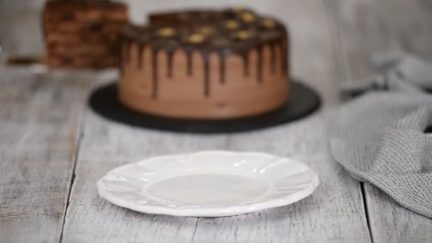 Pedaço de bolo de chocolate camada com ameixas e rum . — Vídeo de Stock