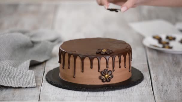 Confectioner-baker decorate beautiful cream cake with chocolate flowers. — Stock Video
