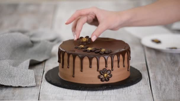 Ζαχαροπλάστης-αρτοποιός διακοσμούν όμορφη τούρτα κρέμα με λουλούδια σοκολάτας. — Αρχείο Βίντεο