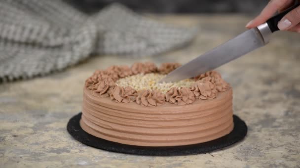 Delicioso pastel de chocolate con nueces. Cortar pastel de chocolate con un cuchillo de cocina . — Vídeos de Stock