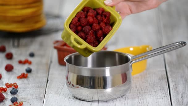 Les mains féminines mettent la framboise, le groseille et le sucre dans une casserole . — Video