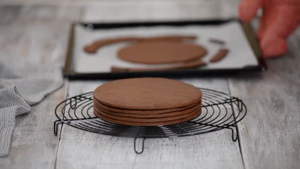 Cake bakken. Vers gebakken chocoladelaag voor de taart op het koelrek. — Stockvideo