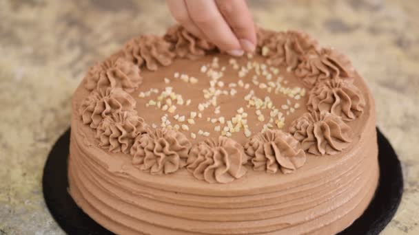 In Nahaufnahme Nüsse auf eine Creme von einem Schokoladenbiskuitteig streuen. Bäcker dekorierte Schokoladenkuchen mit Nuss. — Stockvideo