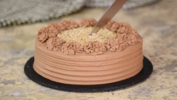 Delicioso bolo de chocolate com nozes. Corte de bolo de chocolate com uma faca de cozinha . — Vídeo de Stock