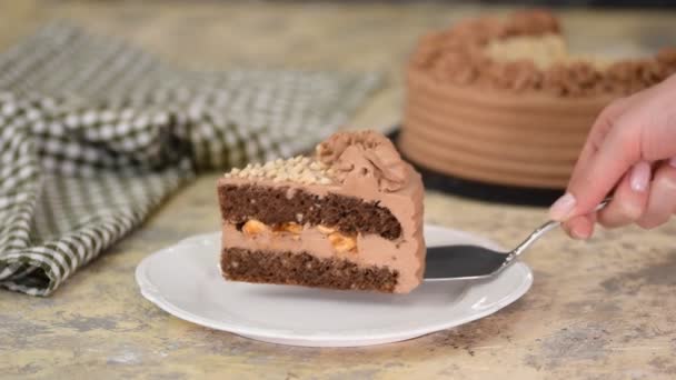 Pièce de délicieux gâteau au chocolat aux noix et au caramel . — Video