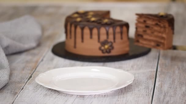Pedaço de bolo de chocolate camada com ameixas e rum . — Vídeo de Stock
