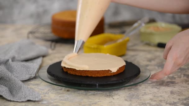 Une fille qui fait un gâteau dans une boulangerie. Baker serre la crème sur une couche de gâteau . — Video