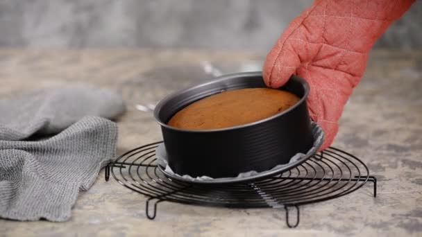 Pastel de esponja de caramelo recién horneado en el molde para hornear . — Vídeo de stock
