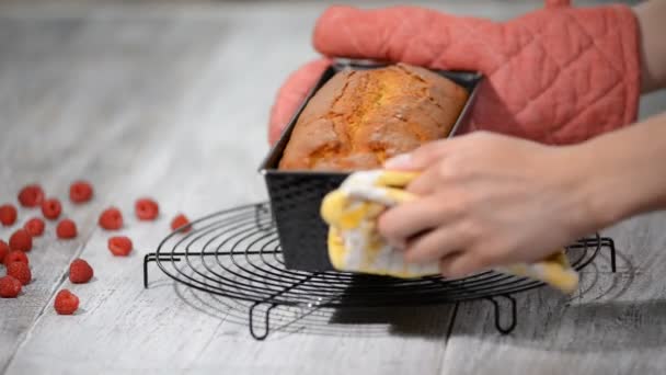 Vers gebakken pound cake met frambozen. — Stockvideo