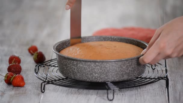 Pastelero sacando de la torta de molde de pastel . — Vídeos de Stock