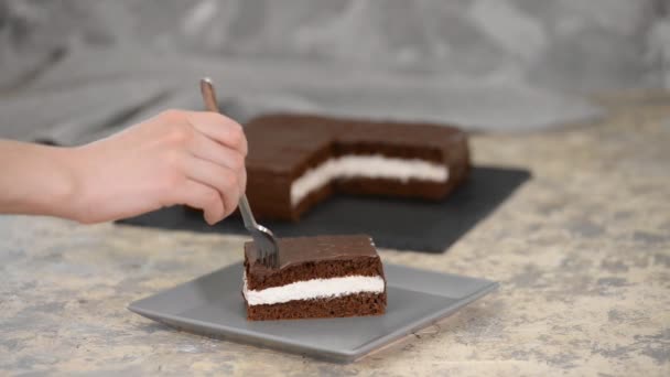 Γυναίκες που τρώνε σπιτικό κομμάτι κέικ σοκολάτας. — Αρχείο Βίντεο