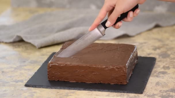 Torta de chocolate de corte manual femenino con cuchillo . — Vídeo de stock