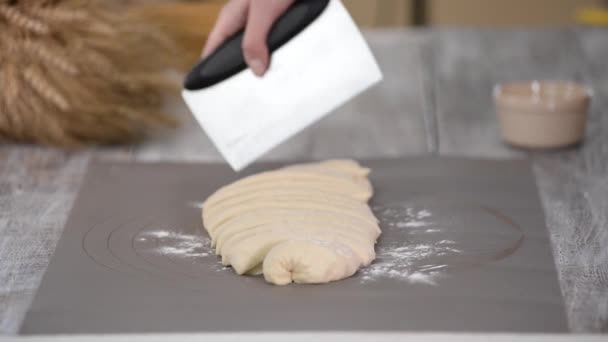 Donna mani rotoli Pane Rotoli pasta . — Video Stock