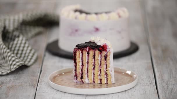 Piece of Homemade Vertical Layer Blackcurrant Jam Cake. — Stock Video