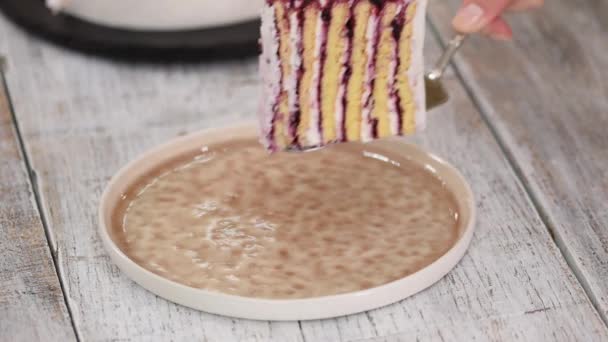 Stück hausgemachter Kuchen mit vertikaler Lage aus schwarzer Johannisbeere. — Stockvideo
