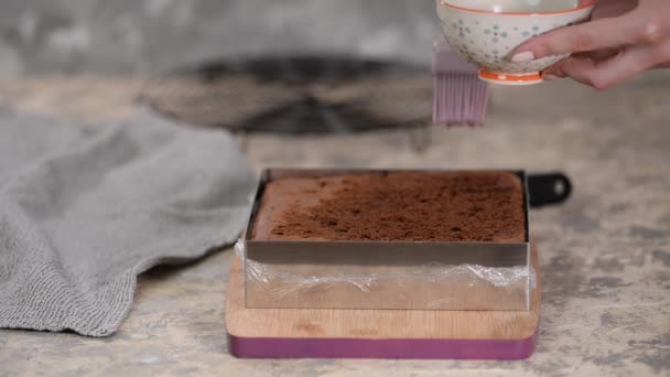 用咖啡浸泡巧克力海绵蛋糕层. — 图库视频影像