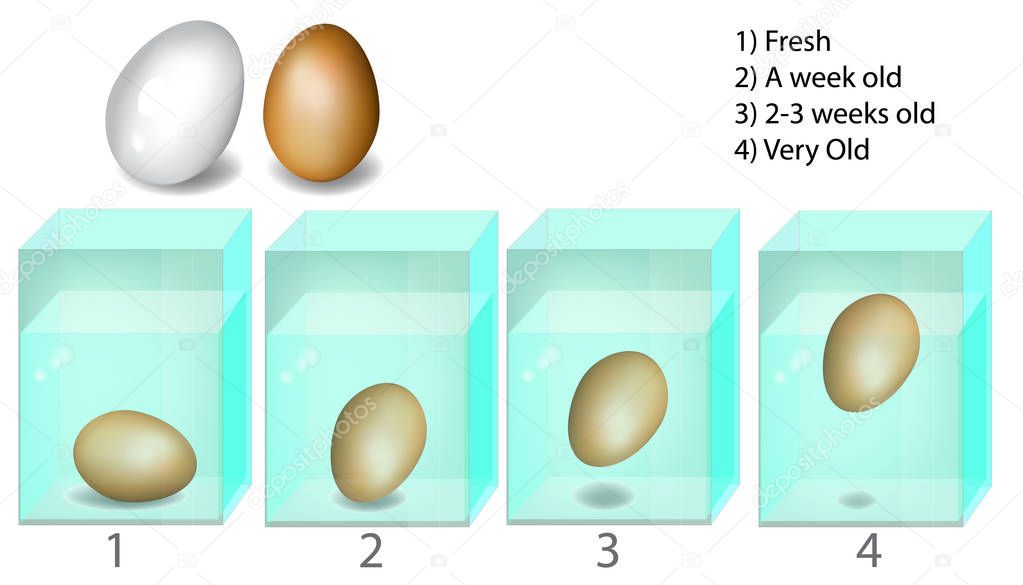 The egg freshness test. Egg in glass of water.