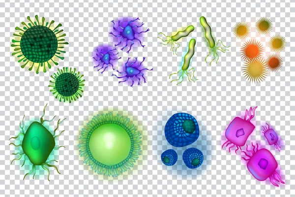 Microscopice Diferite Viruși Formă Bacterii — Vector de stoc