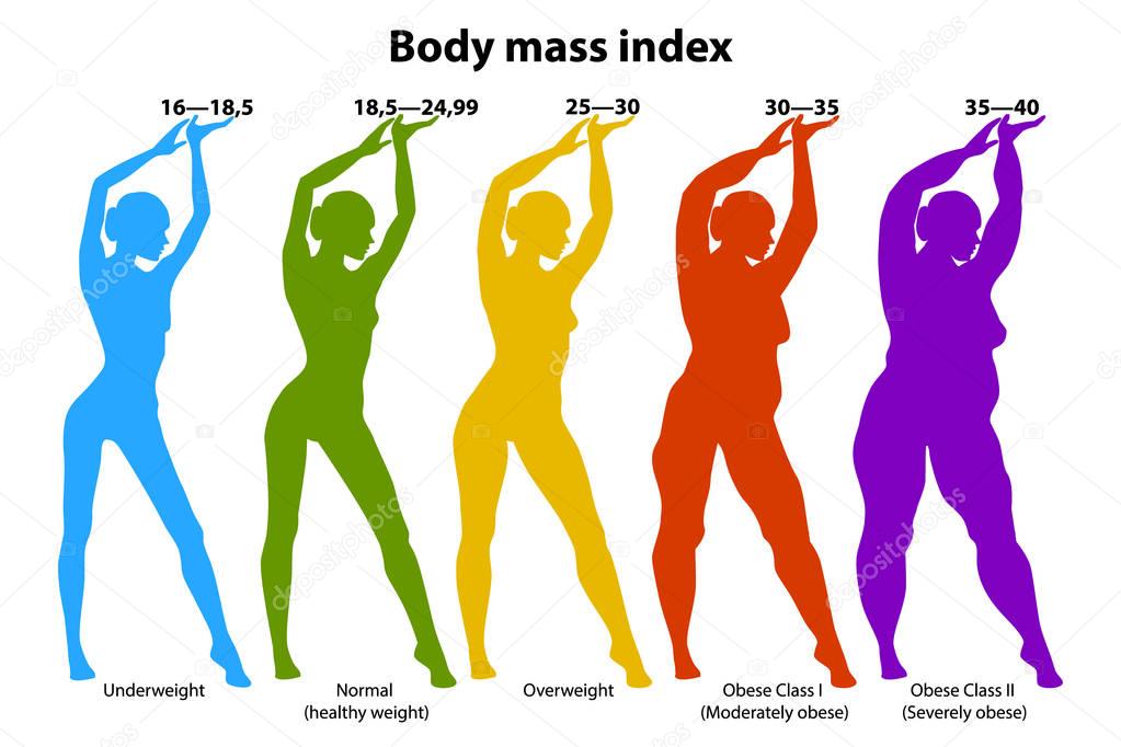 Body mass index  (BMI). Vector medical infographic. 