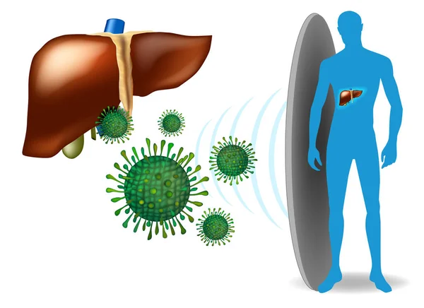 Concepto Protección Hepática Hígado Con Infección Por Hepatitis — Archivo Imágenes Vectoriales
