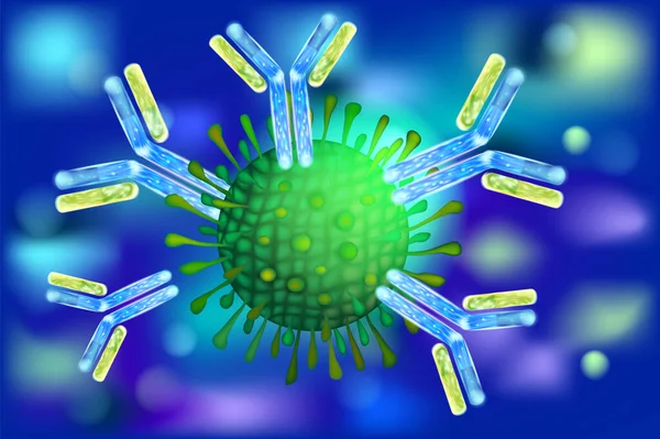Anticorpos Atacar Vírus Respostas Imunitárias Aos Vírus —  Vetores de Stock