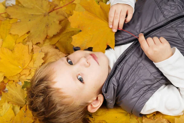 Porträt eines fröhlichen kleinen Jungen, der sich im Herbstlaub suhlt. — Stockfoto