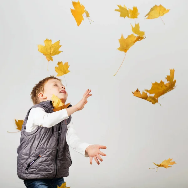 Portrait of happy joyful beautiful little boy against white back — Stock Photo, Image