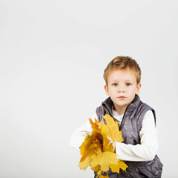 Portret szczęśliwy radosny piękny mały chłopiec przeciwko biały tył — Zdjęcie stockowe