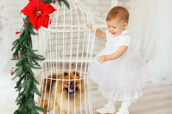 Mooie babymeisje speelt met een pup in het interieur met Ch — Stockfoto