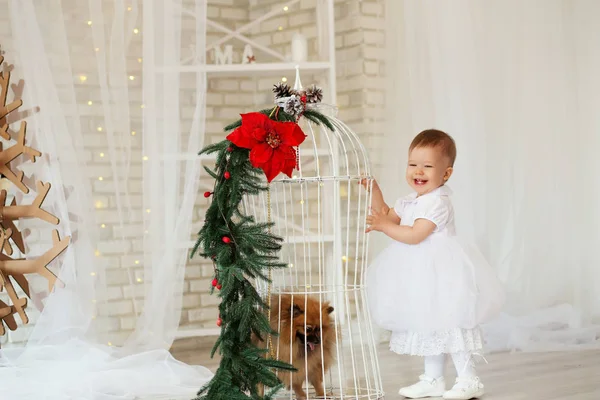 Portret van een prachtig babymeisje spelen met een pup — Stockfoto