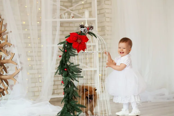 Retrato de una hermosa niña jugando con un cachorro —  Fotos de Stock