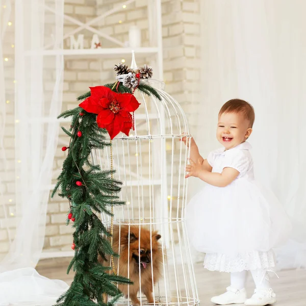Portret van een prachtig babymeisje spelen met een pup — Stockfoto