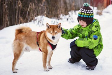 Shiba Inu köpek açık havada olan küçük çocuk 