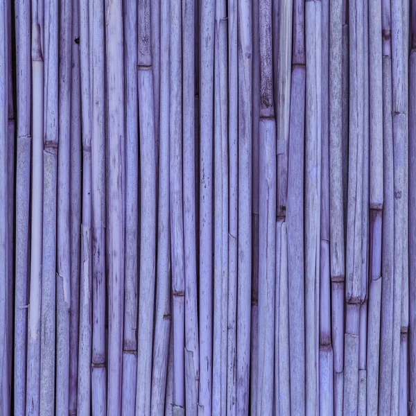 Textuur van riet of bamboe voor achtergrond — Stockfoto