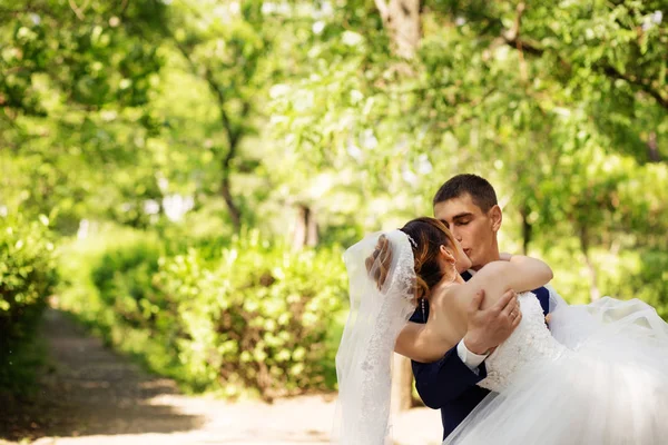 Bride and groom kissing in the park — Stock Photo, Image