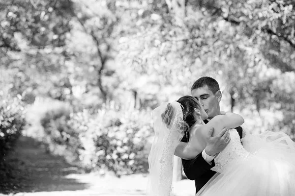 Noiva e noivo beijando no parque — Fotografia de Stock