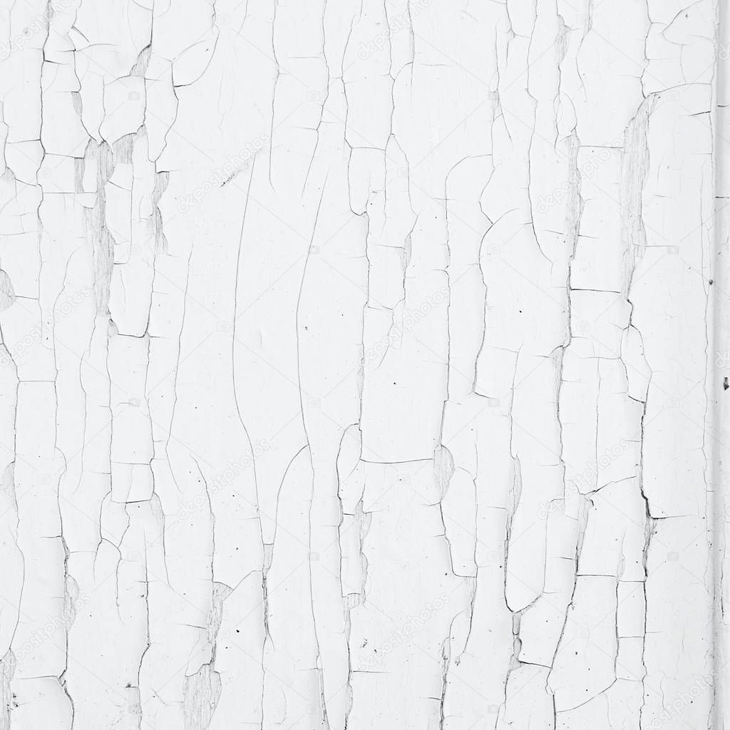 Cracking and peeling white paint on a wall. Vintage wood background with peeling paint. Old board with Irradiated paint