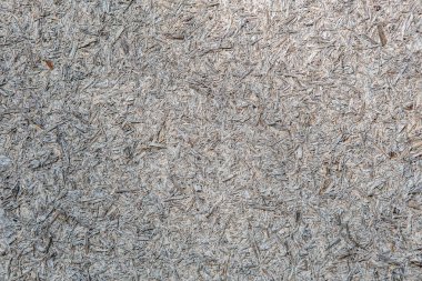 ahşap panel arka plan, sorunsuz odaklı strand boa dokusuna