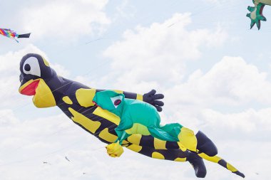 mavi gökyüzünde uçan uçurtma. Uçurtma çeşitli şekiller.