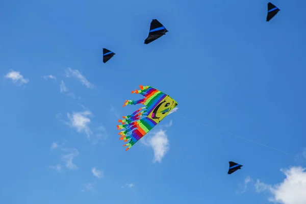 Pipas voando em um céu azul. Pipas de várias formas . — Fotografia de Stock