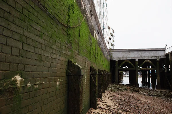 A parede crescida em musgo em Londres . — Fotografia de Stock