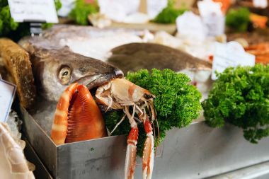 Taze deniz balık, ıstakoz ve diğer deniz ürünleri yakaladı