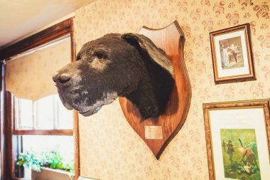 Londra - 24 Ağustos 2017: Sherlock Müzesi Baker Caddesi üzerinde yer almaktadır ve kurgusal Dedektif Sherlock Holmes adanmış Holmes. Sherlock Holmes müzenin içinde. Hound Baskervilles
