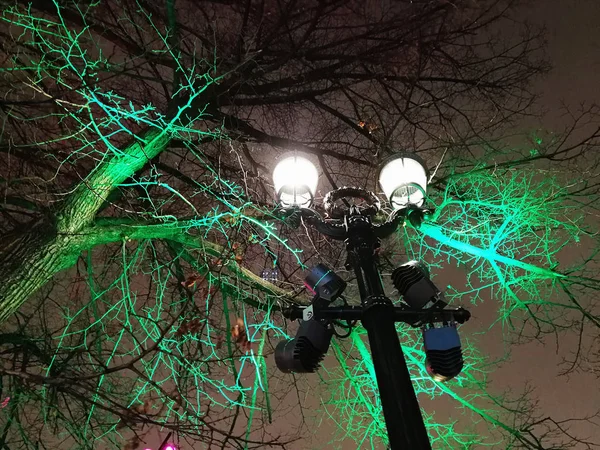 Street tree decoration with coloured led lights in the New Year eve
